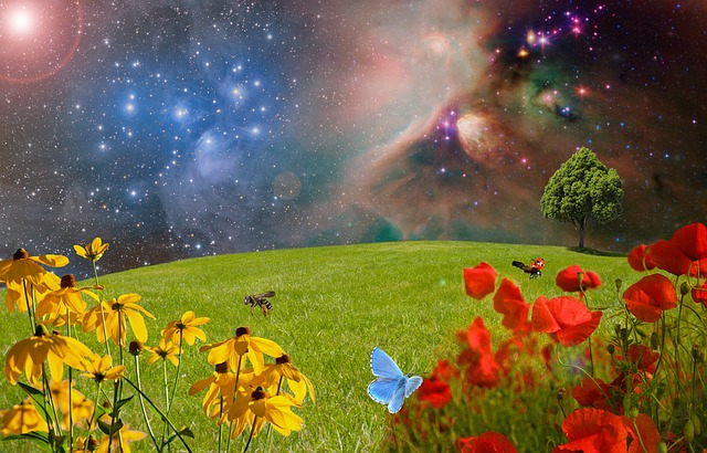 meadow 2401911 640
